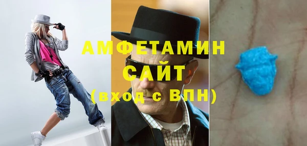 прущие грибы Болотное