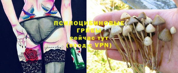 COCAINE Новодвинск